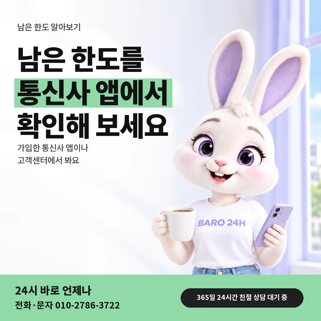 BARO 24H 티셔츠를 입은 3D 토끼 캐릭터 옆에 「남은 한도 알아보기」 제목을 얹은 안내 카드