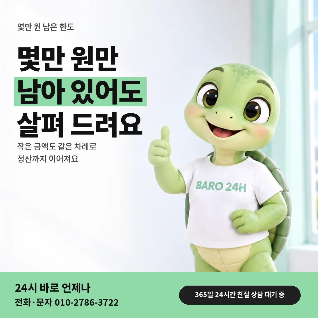 휴대폰을 보며 웃는 BARO 24H 티셔츠를 입은 3D 거북이 캐릭터 옆에 「몇만 원 남은 한도」 제목을 얹은 안내 카드