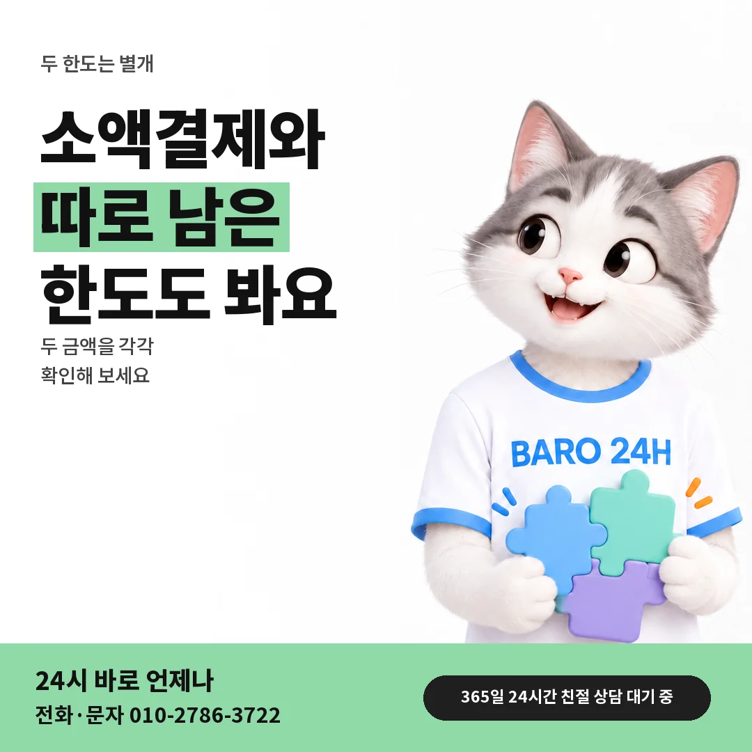 BARO 24H 티셔츠를 입은 3D 동물 캐릭터 옆에 「콘텐츠이용료 한도는 별개」 제목을 얹은 안내 카드